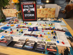 Shelter From The Storm (Preorder)