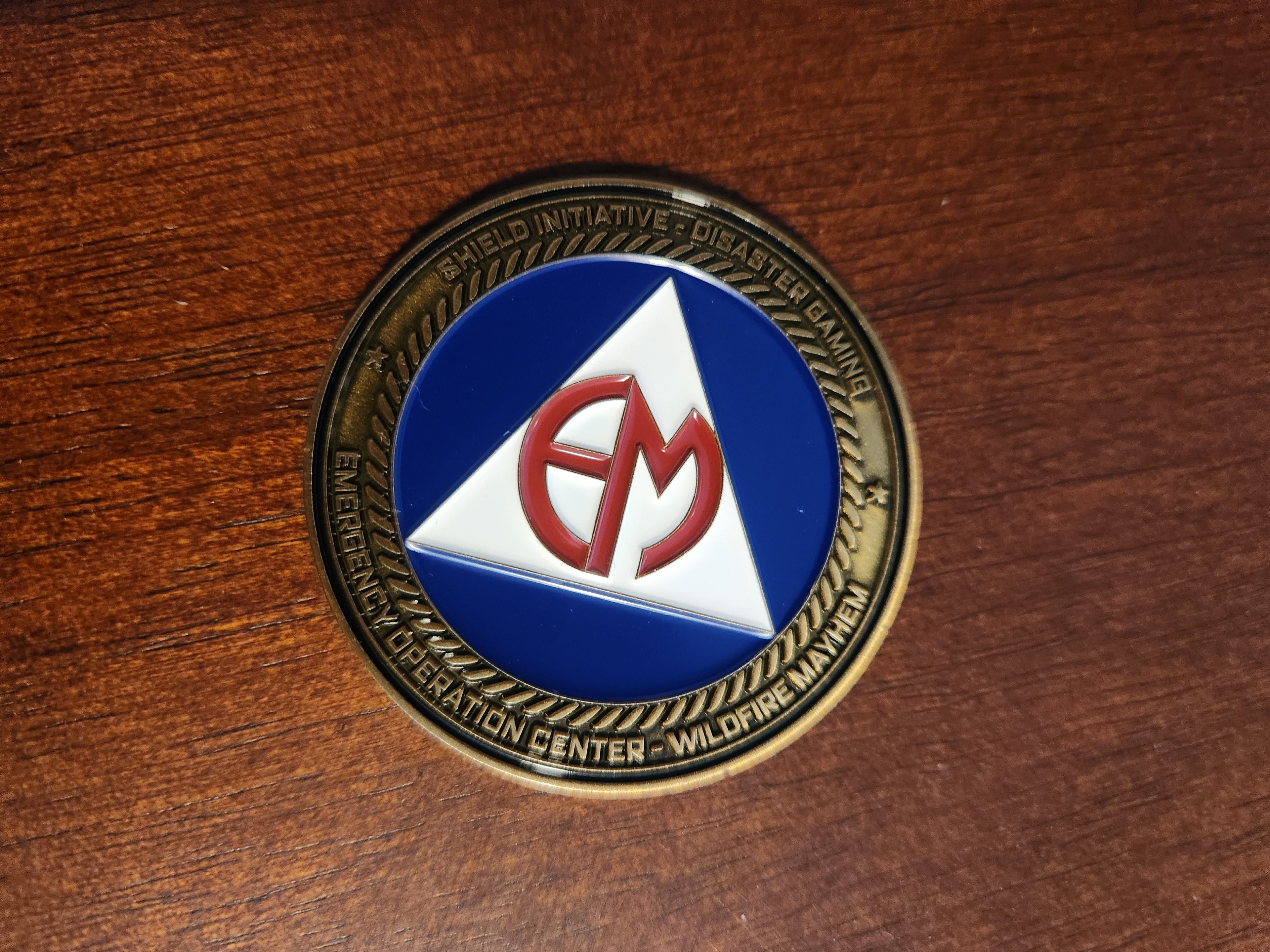 Back side of the Limited Edition Disaster Gaming Challenge Coin displaying the EM logo on a blue and white triangle with gold border resting on a wooden surface